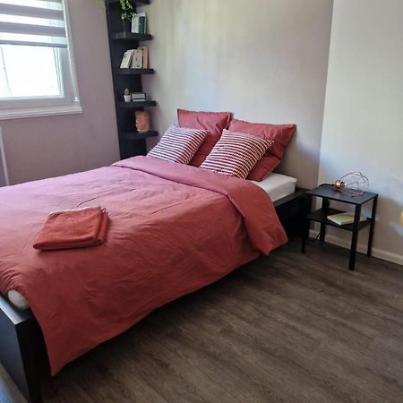 Robertsau Tres Bel Appartement Strasbourg Exteriör bild