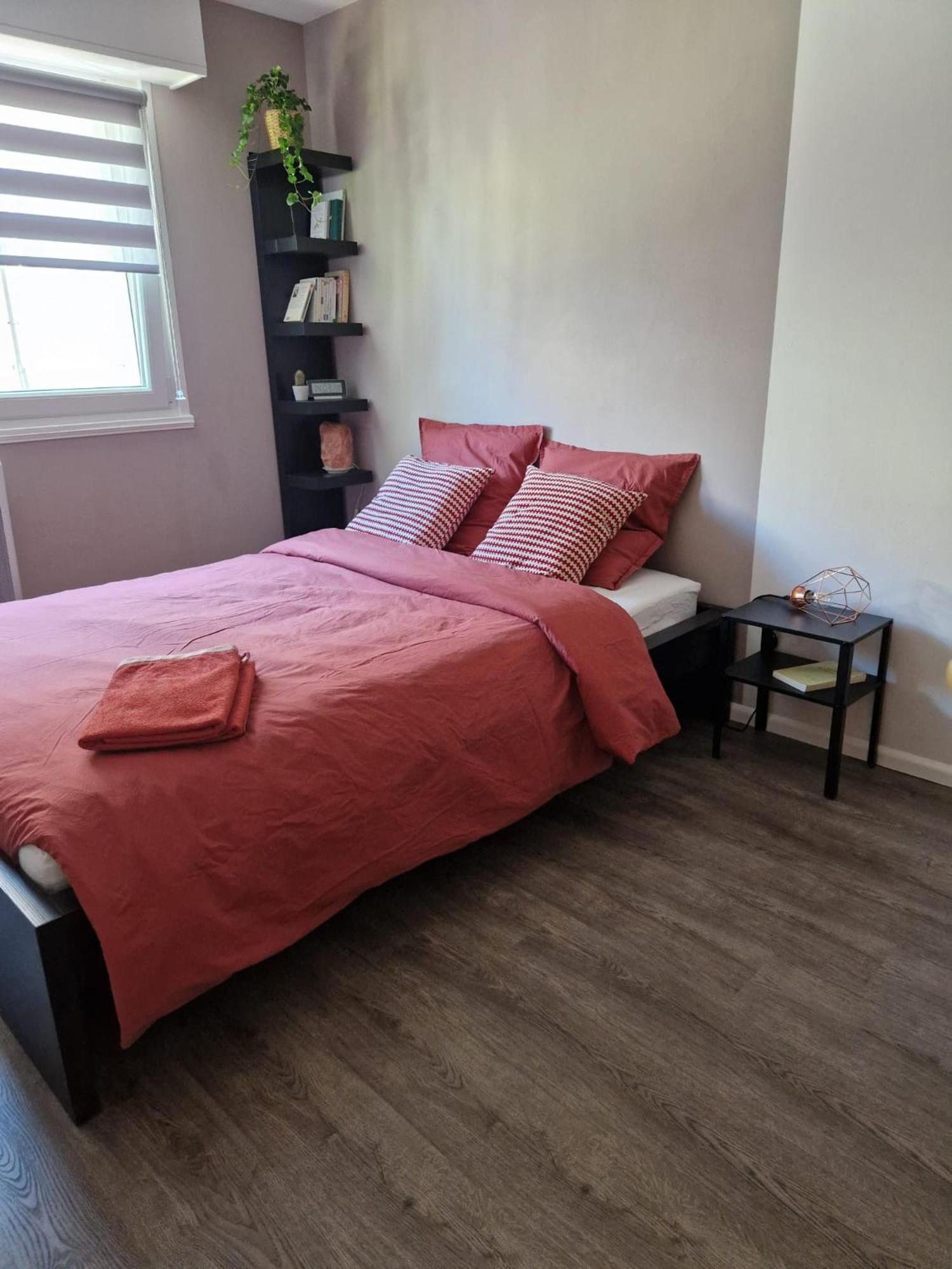 Robertsau Tres Bel Appartement Strasbourg Exteriör bild